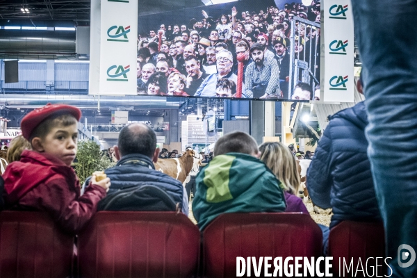 Salon de l Agriculture - Les Grands Animaux