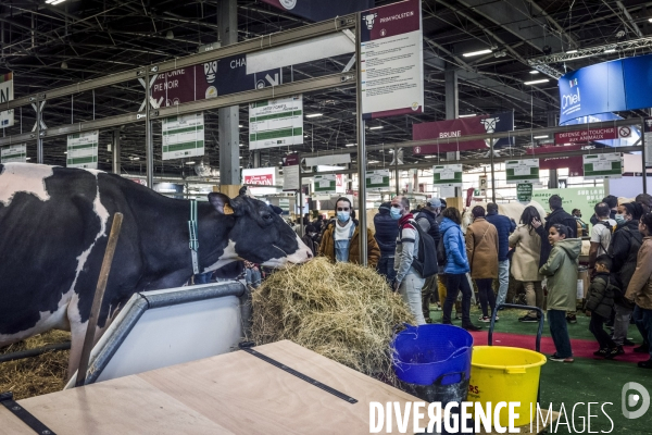 Salon de l Agriculture - Les Grands Animaux