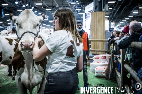 Salon de l Agriculture - Les Grands Animaux