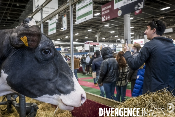 Salon de l Agriculture - Les Grands Animaux