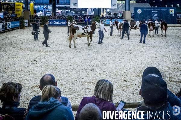 Salon de l Agriculture - Les Grands Animaux