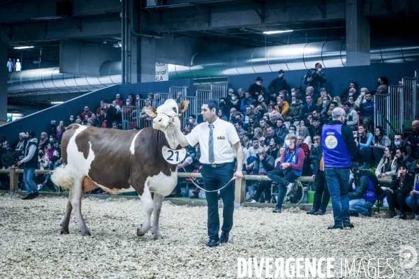 Salon de l Agriculture - Les Grands Animaux