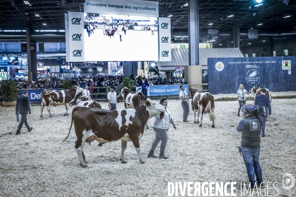 Salon de l Agriculture - Les Grands Animaux