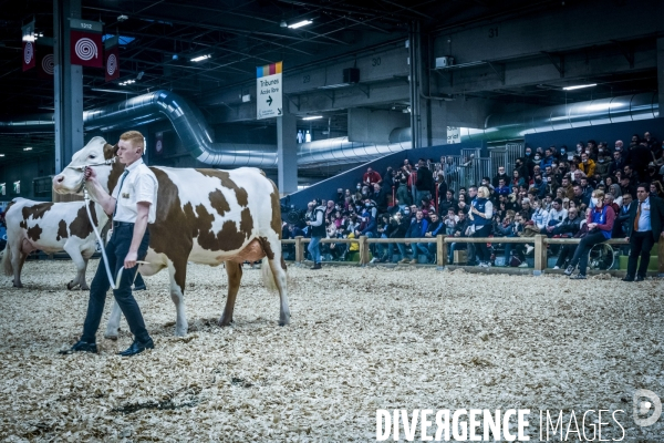 Salon de l Agriculture - Les Grands Animaux