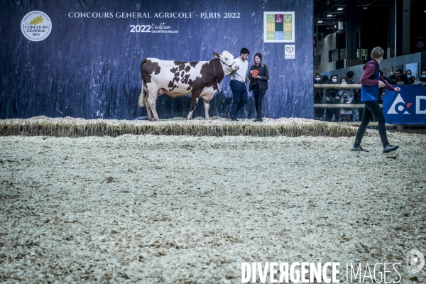 Salon de l Agriculture - Les Grands Animaux