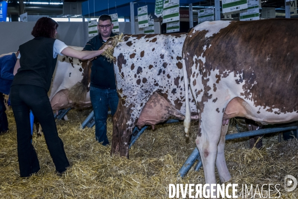 Salon de l Agriculture - Les Grands Animaux