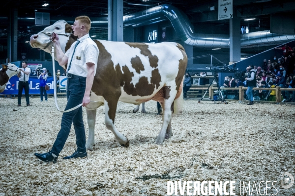 Salon de l Agriculture - Les Grands Animaux