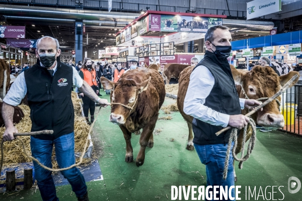 Salon de l Agriculture - Les Grands Animaux