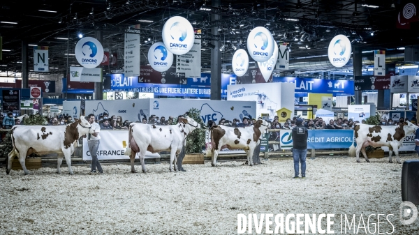 Salon de l Agriculture - Les Grands Animaux