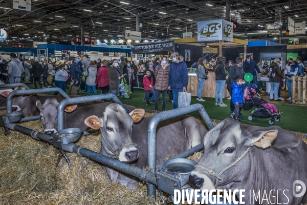 Salon de l Agriculture - Les Grands Animaux