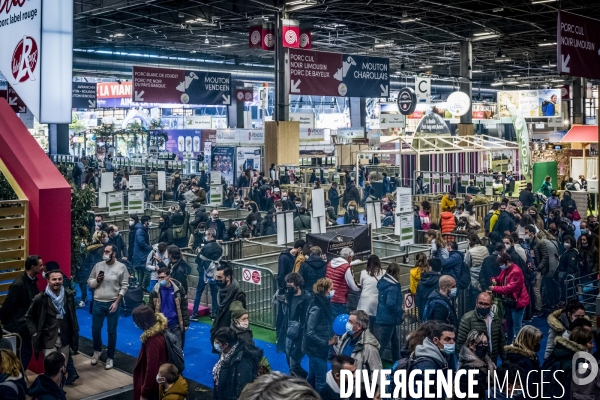 Salon de l Agriculture - Les Grands Animaux