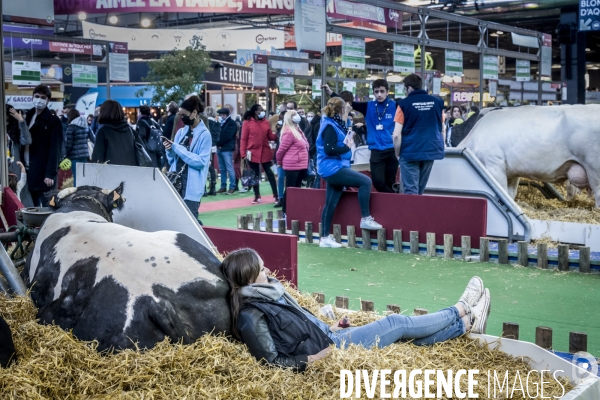 Salon de l Agriculture - Les Grands Animaux