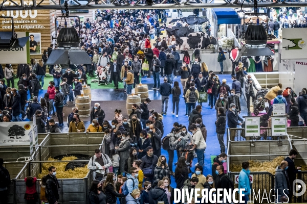 Salon de l Agriculture - Les Grands Animaux