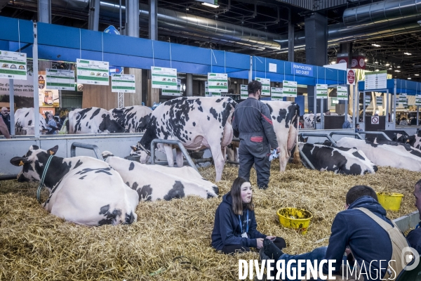 Salon de l Agriculture - Les Grands Animaux