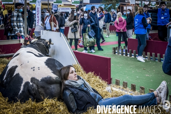 Salon de l Agriculture - Les Grands Animaux