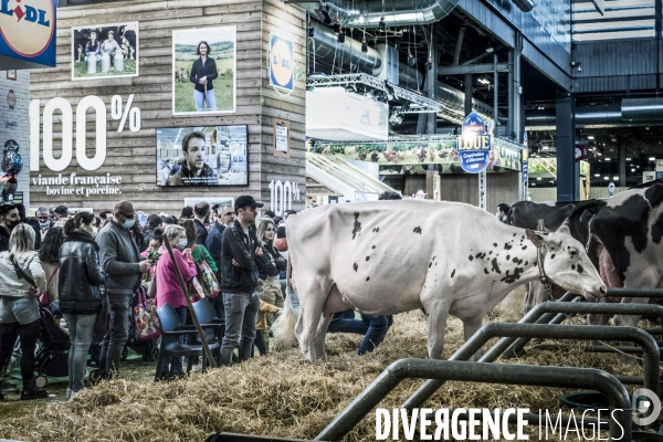 Salon de l Agriculture - Les Grands Animaux