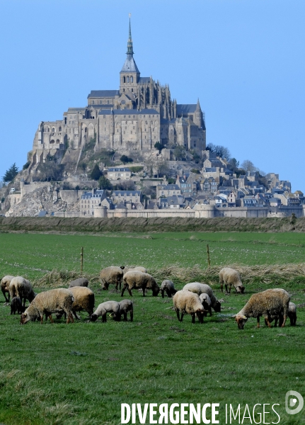 Le Mont Saint Michel