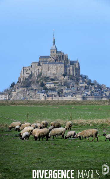 Le Mont Saint Michel