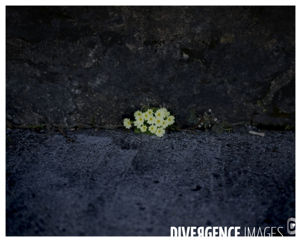 Riviera Vaudoise #21