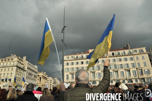 Manifestation pour l Ukraine