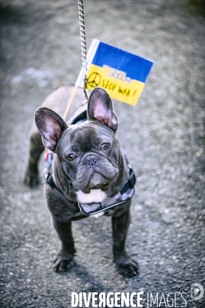 Rassemblement pour la paix en Ukraine