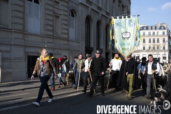 2022 ovins déscendent les Champs Elysées