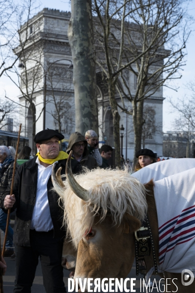 2022 ovins déscendent les Champs Elysées