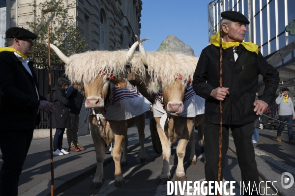 2022 ovins déscendent les Champs Elysées