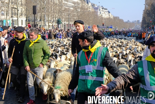 Les Folies Béarnaises sur les champs elysées