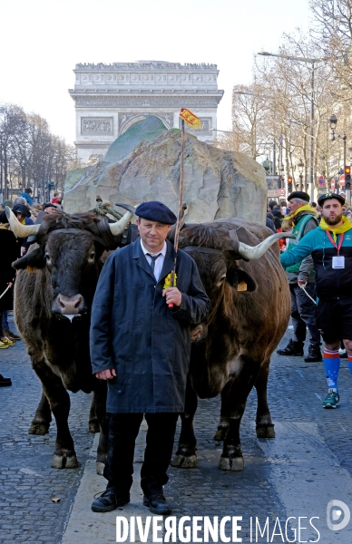 Les Folies Béarnaises sur les champs elysées