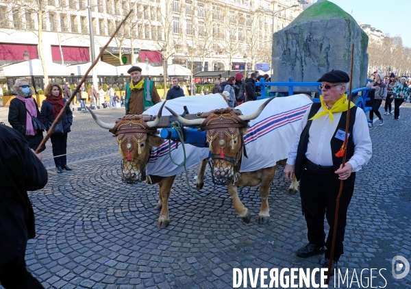 Les Folies Béarnaises sur les champs elysées