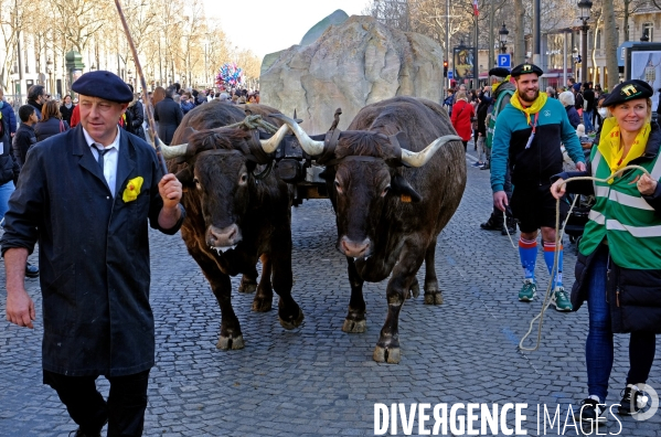 Les Folies Béarnaises sur les champs elysées