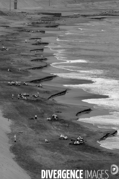 Marée noire à Lima. Pérou.