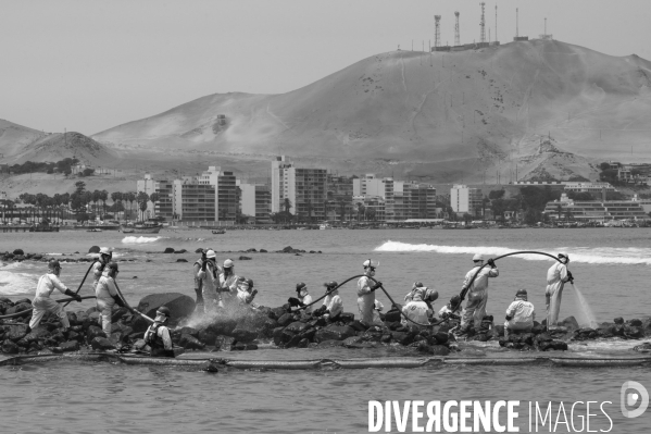 Marée noire à Lima. Pérou.