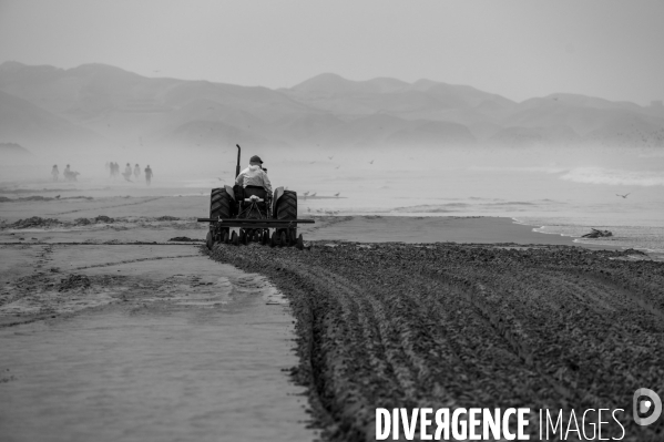 Marée noire à Lima. Pérou.