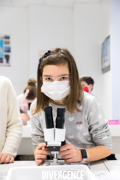 Les sciences au collège