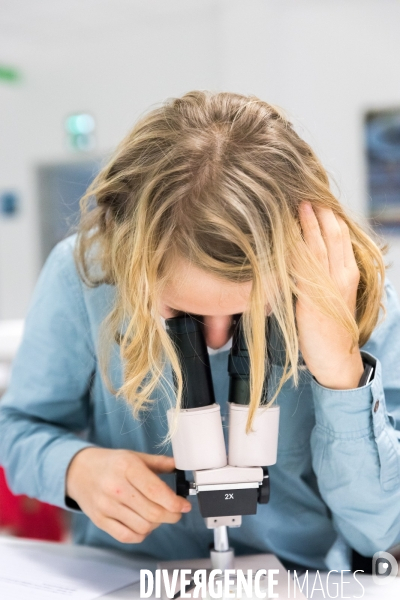 Les sciences au collège