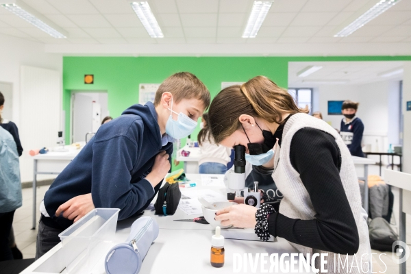 Les sciences au collège