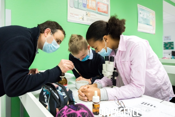 Les sciences au collège