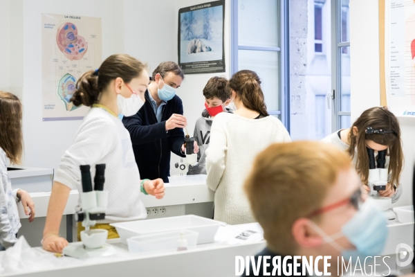 Les sciences au collège