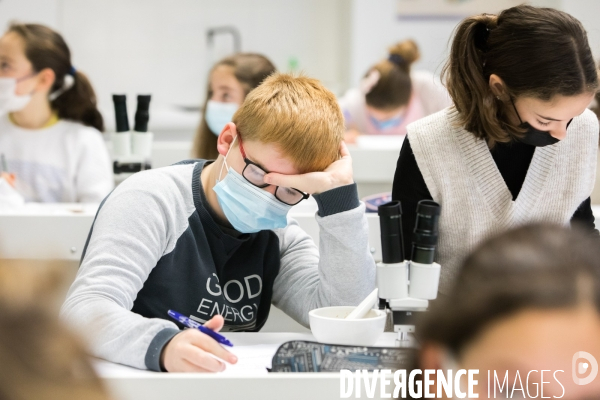 Les sciences au collège