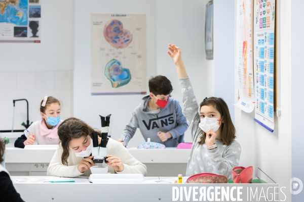 Les sciences au collège