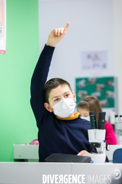 Les sciences au collège