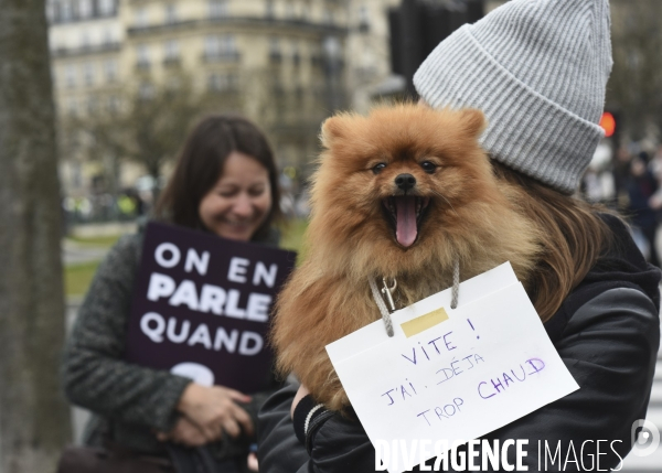 Marche pour le climat 2022 LOOK UP, le 12 mars à Paris. Walk for the climate.