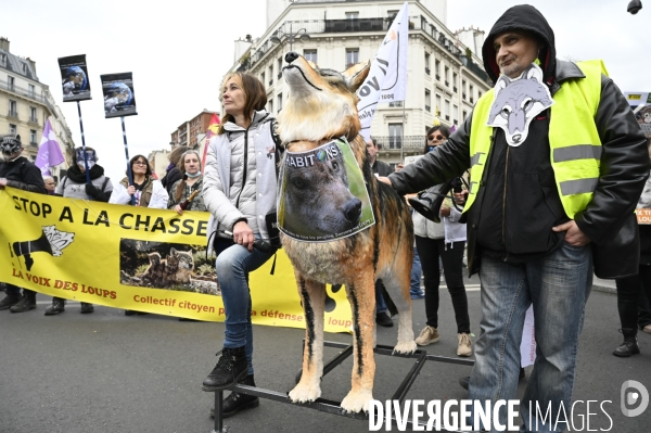 Marche pour le climat 2022 LOOK UP, le 12 mars à Paris. Walk for the climate.