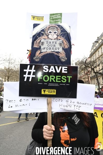 Marche pour le climat 2022 LOOK UP, le 12 mars à Paris. Walk for the climate.