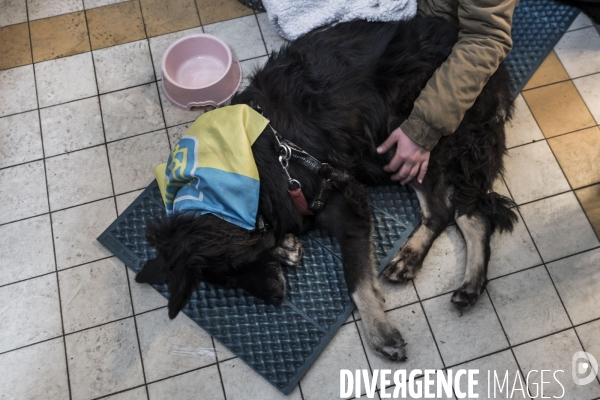 Convoi humanitaire à la frontière Ukrainienne.