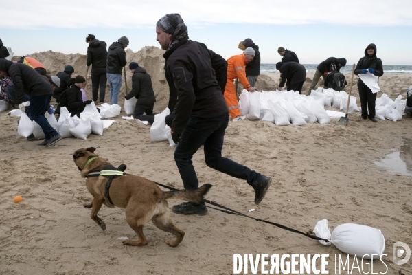 Sacs de sable volontaires