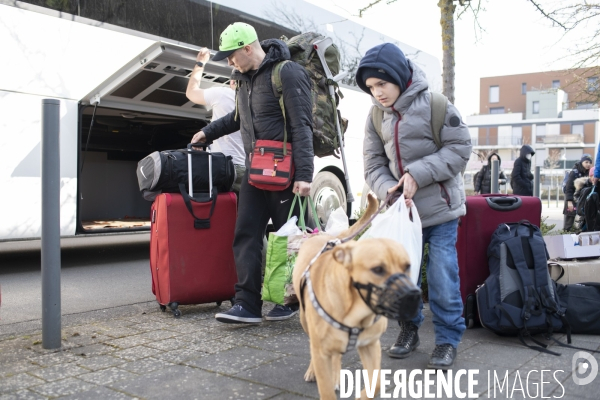 Arrivée des Ukrainiens avec leurs animaux