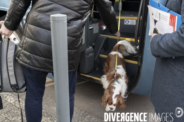 Arrivée des Ukrainiens avec leurs animaux